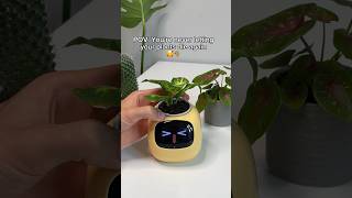 The Worlds First AI Plant Pot😳🪴 plants [upl. by Inot]