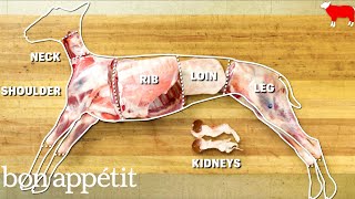 How to Butcher an Entire Lamb Every Cut of Meat Explained  Handcrafted  Bon Appetit [upl. by Enidlarej]