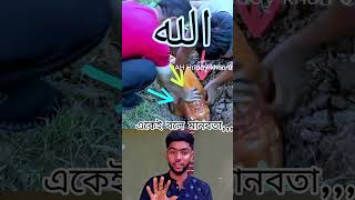 মানবতা একেই বলেduet education islamicshorts allah trending shorts viralshort foryou [upl. by Kriss]