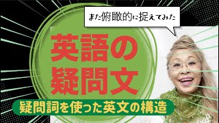 【英語超初心者用🔰】疑問文の作り方✏️コレが作れれば英会話は出来る✨🌺🎊 [upl. by Ludwog34]