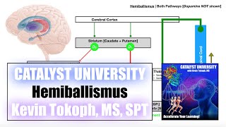 Hemiballismus  Pathogenesis SignsSymptoms and Detailed Mechanism [upl. by Yve203]