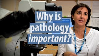 Why pathology matters what it is and advice to students [upl. by Suravat]