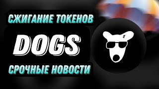 DOGS СРОЧНЫЕ НОВОСТИ  СЖИГАНИЕ ТОКЕНОВ DOGS [upl. by Ekoorb]