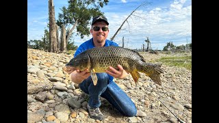 Carp on soft plastics at Yarramundi [upl. by Lady]