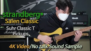 Strandberg Salen Classic 4K Video 스트랜드버그 살렌 클래식 소리함 [upl. by Adrienne]