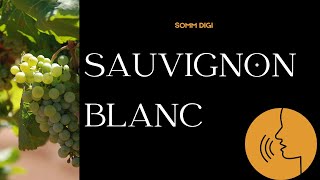 Sauvignon Blanc Pronunciation How to Pronounce sauvignonblanc pronunciation [upl. by Buffy]