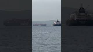 Bunkering Oil Tankers and Container Ship at Bay of Gibraltar [upl. by Ilamad811]