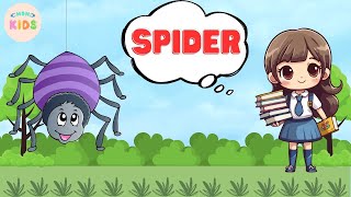 Spider Facts For Kids 🕷️ Learn All About Spiders  MON Kids [upl. by Aynat]