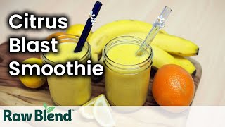 How to make a Citrus Blast Smoothie in a Vitamix Blender  Recipe Video [upl. by Reinhold]