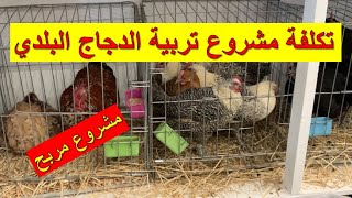 كيفاش تبدا مشروع تربية الدجاج البلدي [upl. by Jemma978]