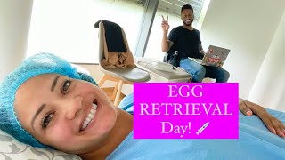 IVF Egg RETRIEVAL [upl. by Goode]