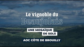 Côte de Brouilly cru du Beaujolais  Le vignoble du Beaujolais une mosaïque de sols [upl. by Nelly]