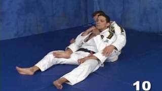 Saulo Ribeiro JiuJitsu Revolution 1  The Back Position [upl. by Nnylaf517]