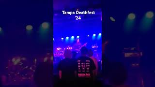 Tampa Deathfest 24 [upl. by Katsuyama]