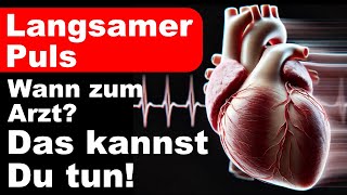 Langsamer Puls  Das kannst du tun  Wann zum Arzt  Ursachen amp Behandlung [upl. by Yantruoc]