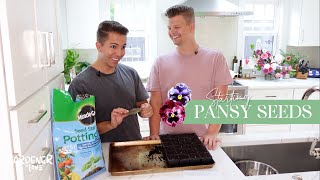 Starting Pansy Seeds  Seed Starting Tips  Gardener in Love [upl. by Adnilec]