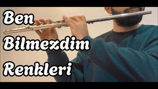 HiraiZerdüş  Ben Bilmezdim Renkleri Yan Flüt  flute  Fizyo Müzik flute yanflüt [upl. by Harbird]