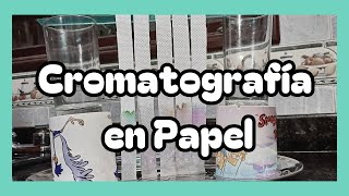 Cromatografía en Papel [upl. by Ennovahc]