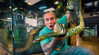 GETTING MY HUGE ANACONDA A BOYFRIEND NEW ANACONDA  BRIAN BARCZYK [upl. by Mairym]