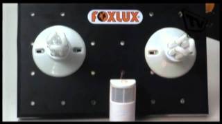 Aprenda aqui a instalar e economize com o Sensor de Presença Foxlux [upl. by Liartnod]