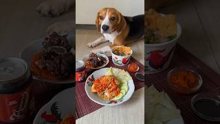 Makanan Indo mewah untuk anjing [upl. by Mitch]