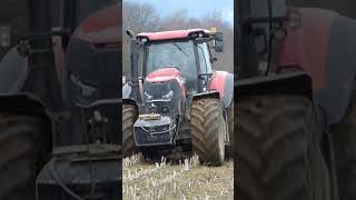 Case IH Optum 300 cvx  Lemken EurOpal 8 [upl. by Sire]