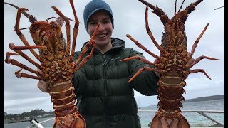 Crayfish Diving Southport Tasmania [upl. by Latoya808]