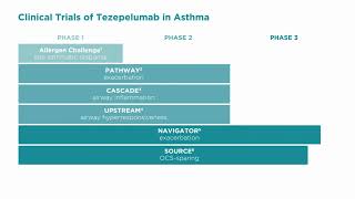 Targeting TSLP in Severe Asthma  Video abstract ID 275039 [upl. by Anitroc]