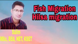 Fish migration Part1 Hilsa migration Anadromous migration [upl. by Purington]