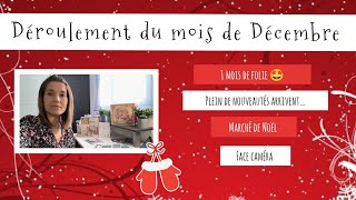 DÉROULEMENT DU MOIS DE DÉCEMBRE un mois de folie 🤩 plein de créations arrivent Marché de Noël 🎄🎅 [upl. by Simetra]