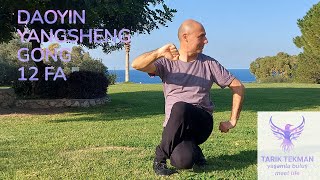 Daoyin Yangsheng Gong 12 Methods [upl. by Gneh]