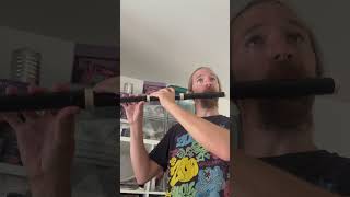 Today’s baroque flute scale [upl. by Wiskind732]