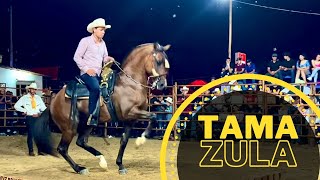 🏆CONCURSO DE CABALLOS BAILADORES EN TAMAZULA DURANGO [upl. by Kemme]