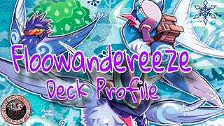 1st Place Floowandereeze Deck Profile Undefeated Player [upl. by Dazhehs]