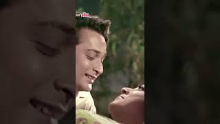 Saja Hi Sahi Aaj Kuch To Mila Hai  Mohammed Rafi Lata  Tumhari Najar Kyun Khafa Ho Gayi [upl. by Rehpotsirhcnhoj]