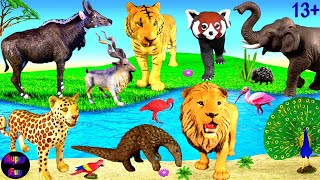 Animals  Lion Tiger Leopard Elephant Red Panda Pangolin Peacock Porcupine 13 [upl. by Elexa]