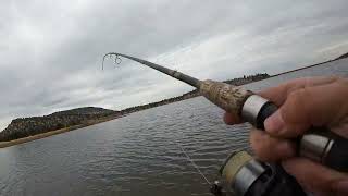 Good trout fishing haystack reservoir [upl. by Namurt]