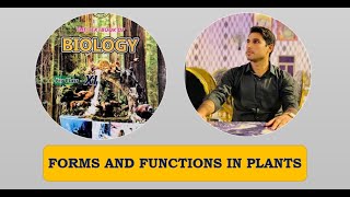 Class 11th  Forms And Functions In Plant  Lecture 20 Phloem Translocation  Flow Pressure theory [upl. by Acinoj]