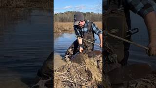 Beaver trapping with my wife yawtyawt [upl. by Aileduab]