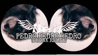 PEDRO PEDRO PEDRO Phonk Remix [upl. by Haskins481]