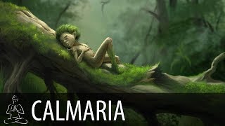 🎧 CORAÇÃO DA FLORESTA  Rio Vento Pássaros Música Relaxante  Sono  CALMA  ♫086 [upl. by Samaria]