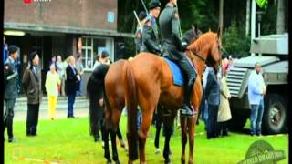 paard werpt ruiter [upl. by Lorrayne]