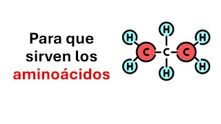 Para que sirven los aminoacidos [upl. by Treulich]