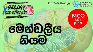 මෙන්ඩලීය නියම  Mendel’s Laws  EduTalk Biology [upl. by Sewole950]