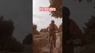 Forestales 🪨🤘🏻🔝🚴🏼 mountainbike enduromtb mtb mtbfun cycling ebike bike singletrack [upl. by Kire]