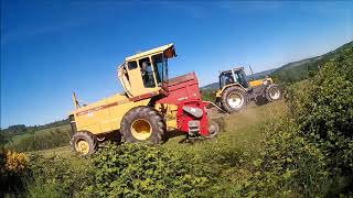 video ensilage 2019 [upl. by Festa]