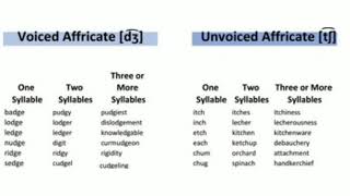 Voiced and Unvoiced Affricates  Segmentalbased English Phonetics [upl. by Dulcea]