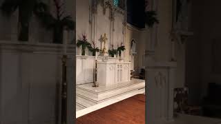 Christmas Prelude on Divinum Mysterium by John R Watkinson [upl. by Downes258]