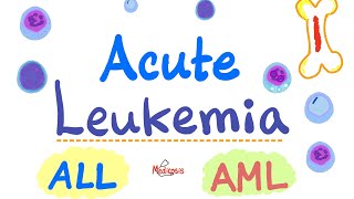 Acute Leukemia  ALL and AML  Hematology and Oncology Series [upl. by Frierson636]