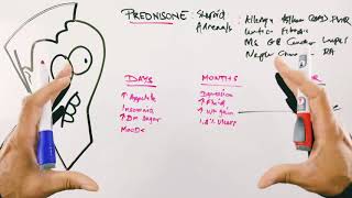 Most Common Prednisone Side Effects  Short Term and Long Term and Solutions  Corticosteroids [upl. by Eirellam165]